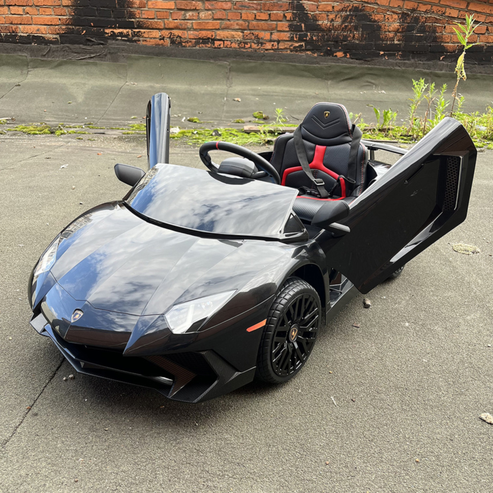 Детский электромобиль Lamborghini Aventador SV Roadster 2WD 12V -  BDM0931-BLACK купить в Пскове по низкой цене в интернет-магазине Solav